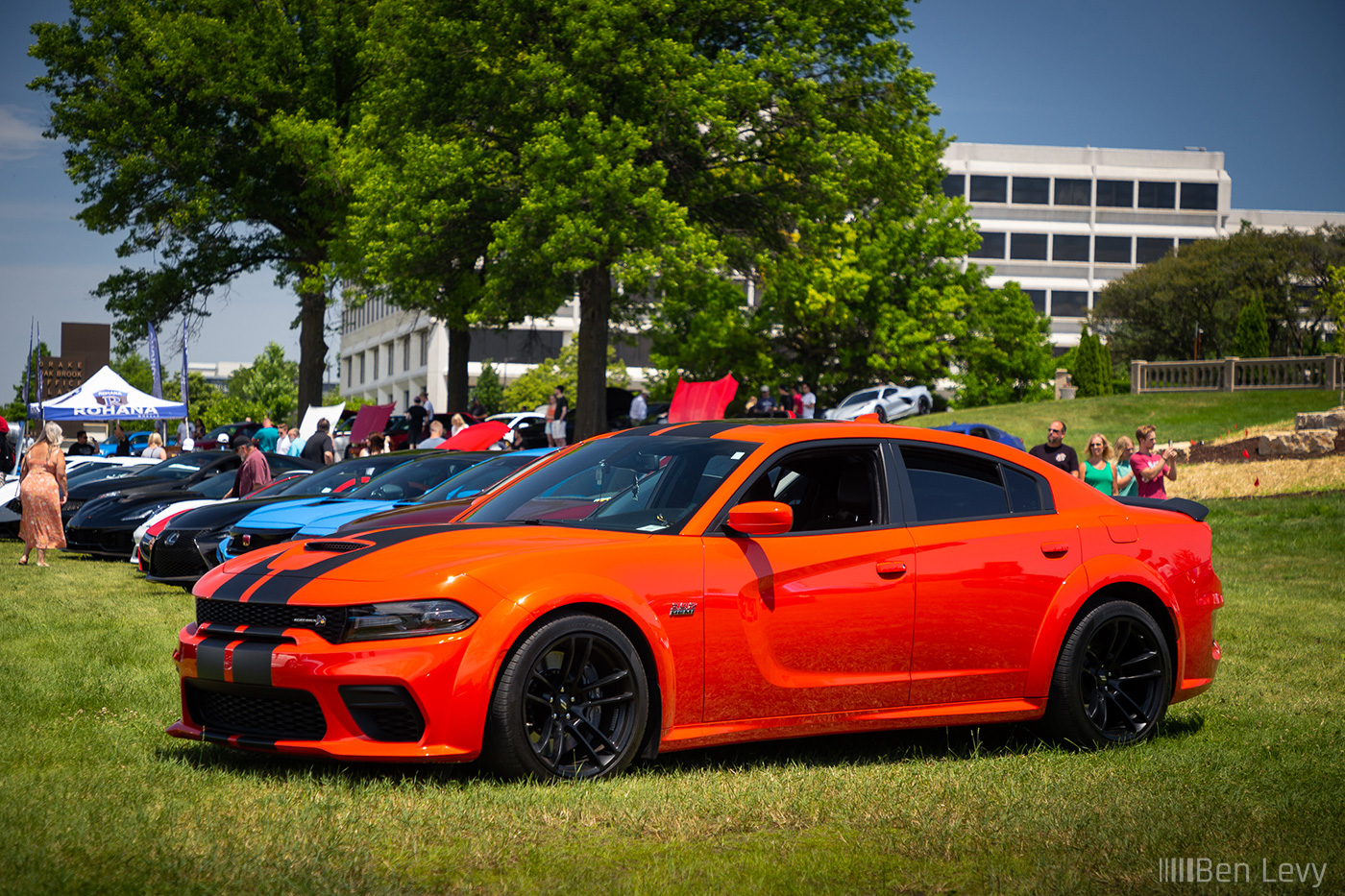 Orange Dodge Charger SRT 392 in the Grass