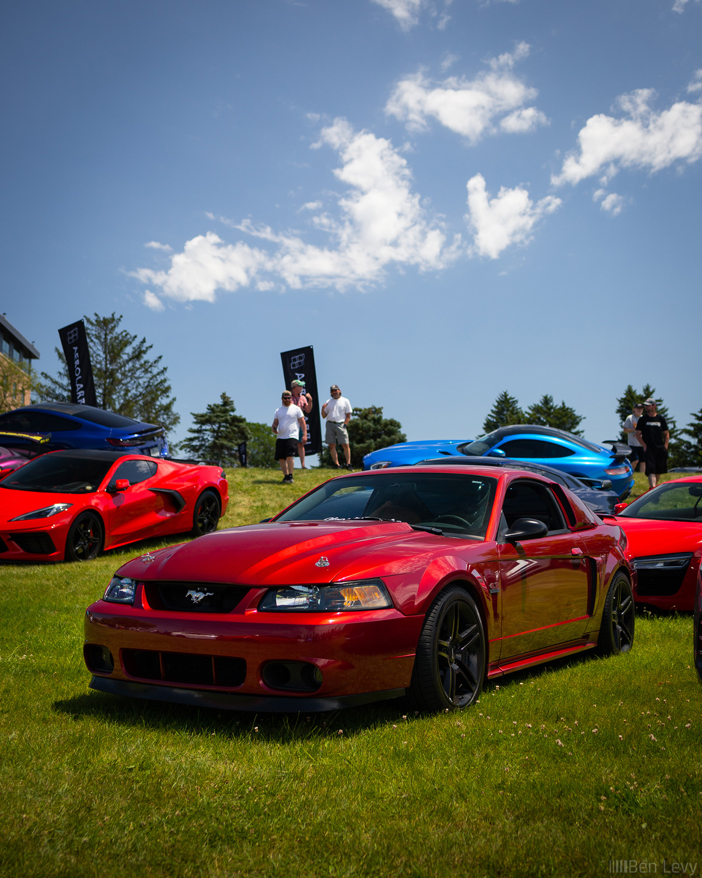 Red Ford Mustang GT Parked on the Lawn