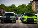 Dodge Chargers lined up at Chicago Auto Pros