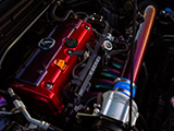 Supercharged K24 in Acura TSX