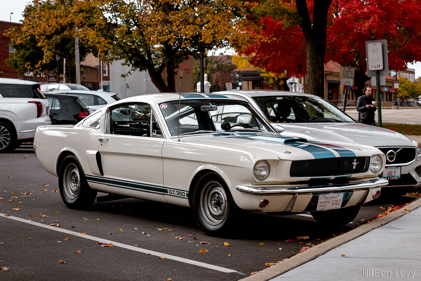 Classic White Ford Mustang GT 350