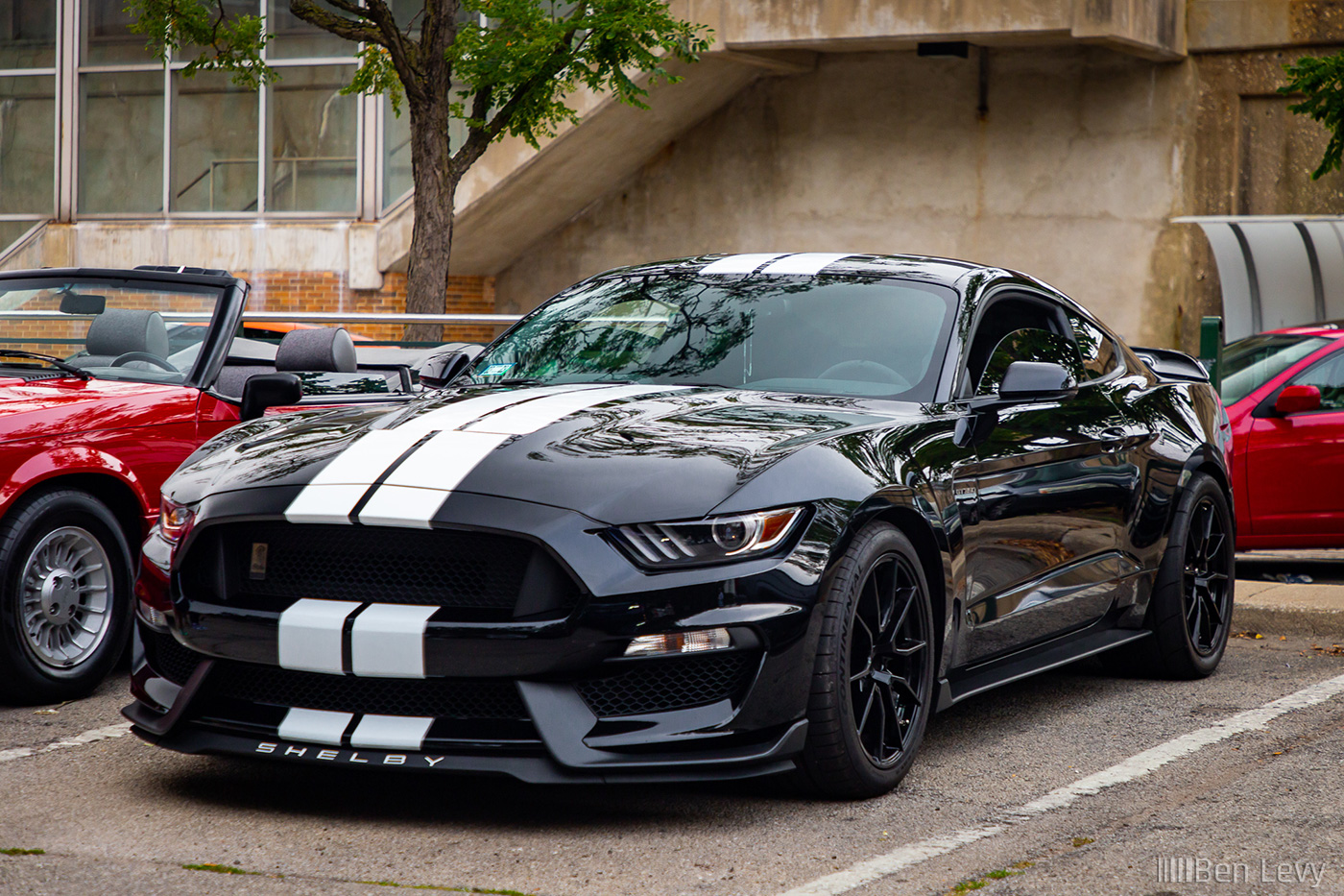 Black Ford Mustang Shelby GT350 with White Stripes