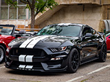 Black Ford Mustang Shelby GT350 with White Stripes