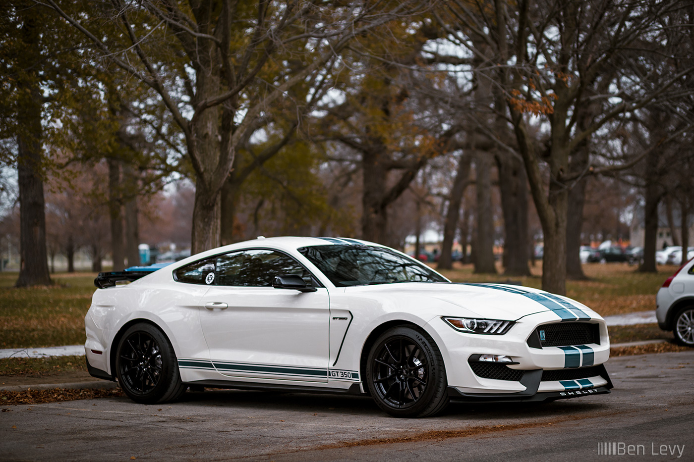 White S550 Shelby Mustang GT350 with Blue Stripes
