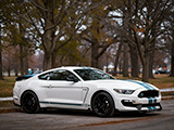 White S550 Shelby Mustang GT350 with Blue Stripes