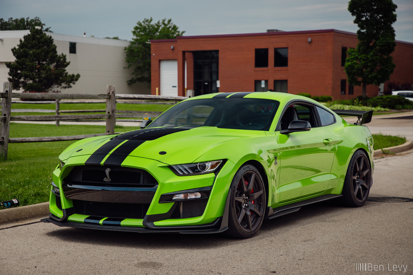 Green Ford Shelby GT500