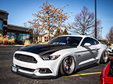Bagged White S550 Mustang GT