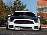 Bagged White Mustang GT with Carbon Fiber Hood