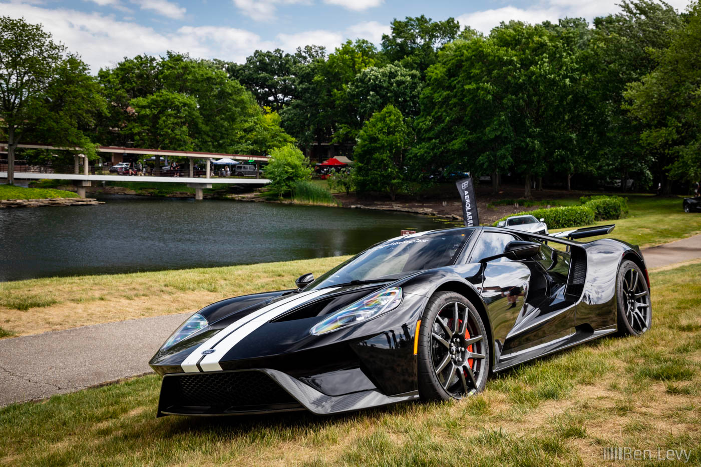 Black Ford GT on the Grass