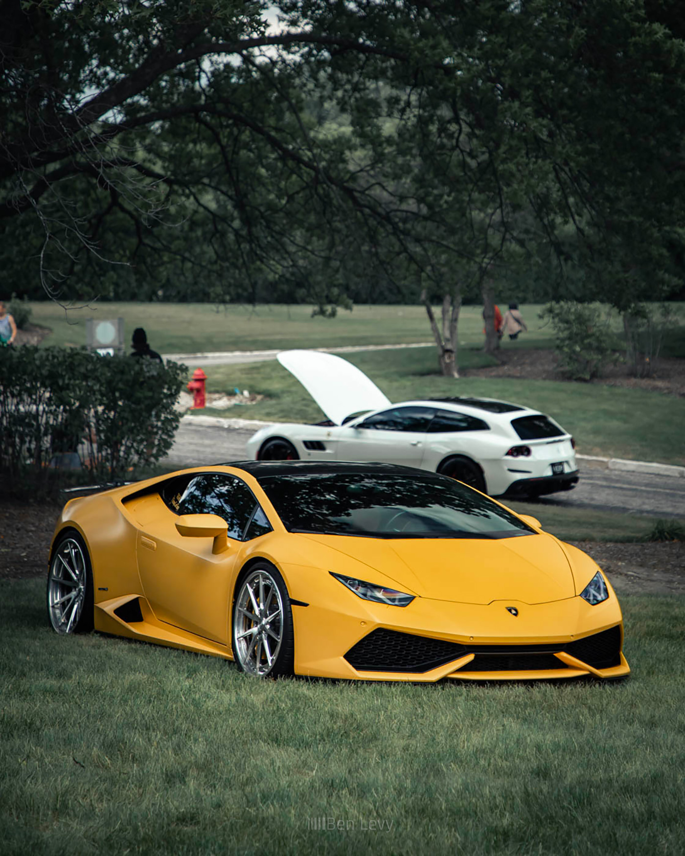 The Chicagocarguy Lamborghini Aventador Parked in the Grass