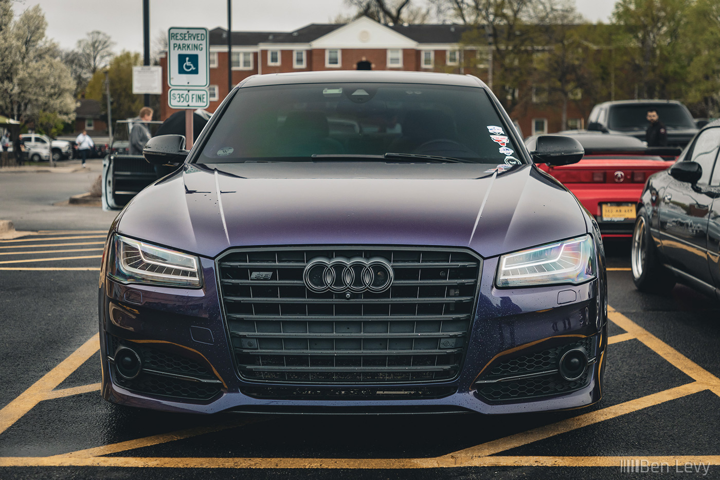 Front Grill of Purple Audi S8