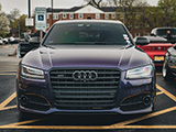 Front Grill of Purple Audi S8