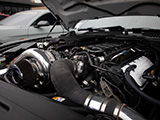 Paxton Supercharger in Ford Mustang