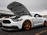 Bagged White Ford Mustang on Project 6GR Seven Wheels