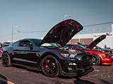 Deep Purple Shelby GT500 at Cars & Coffee
