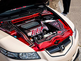 Lowrider Engine Paint on Acura TL