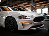 Front Corner of White Ford Mustang GT