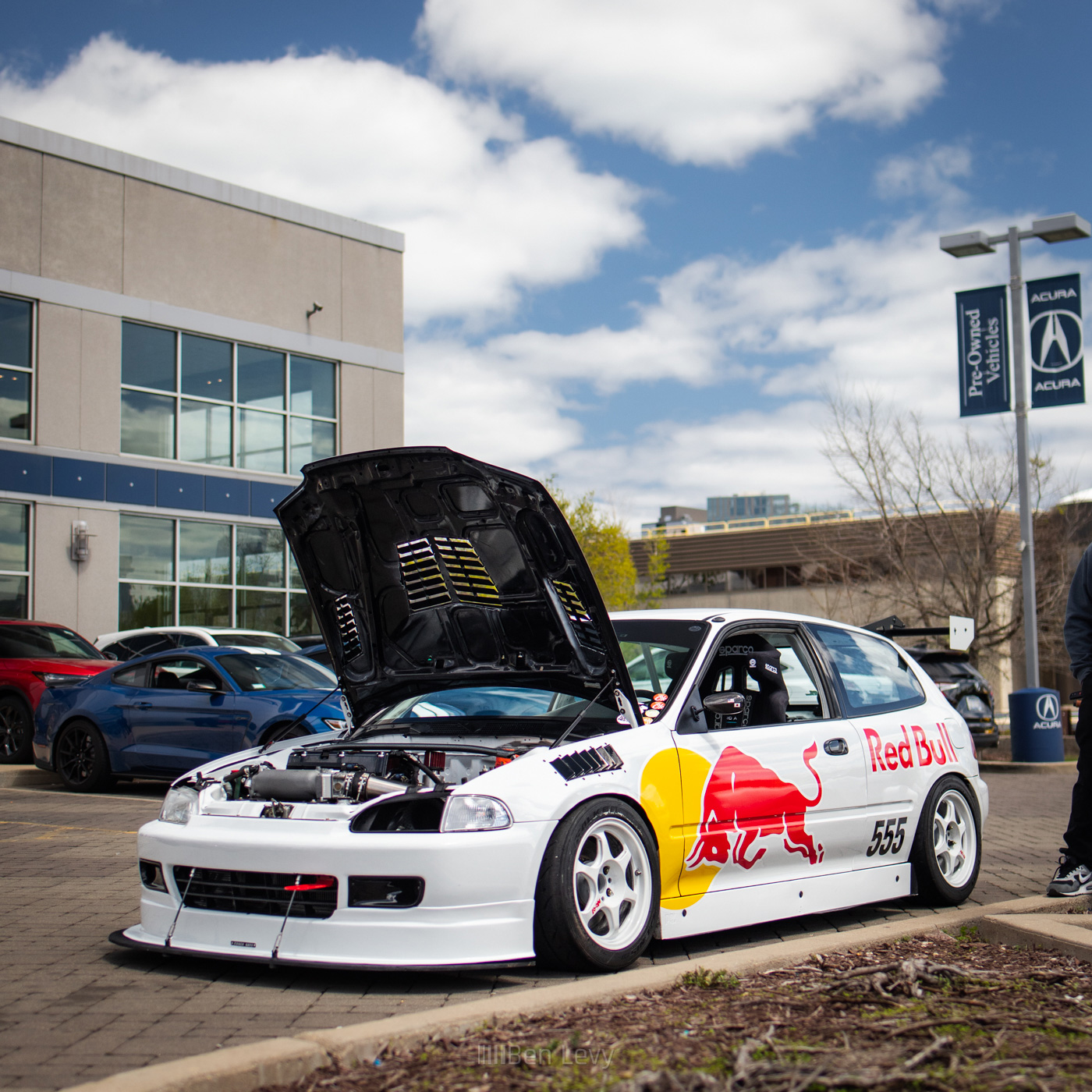 White Honda Civic Hatchback with Red Bull Livery
