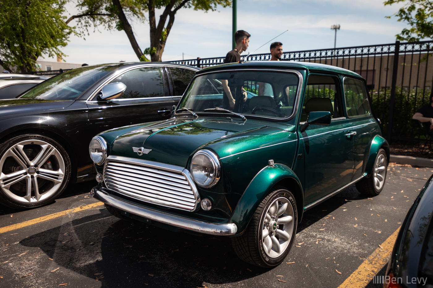 Classic Mini in Green