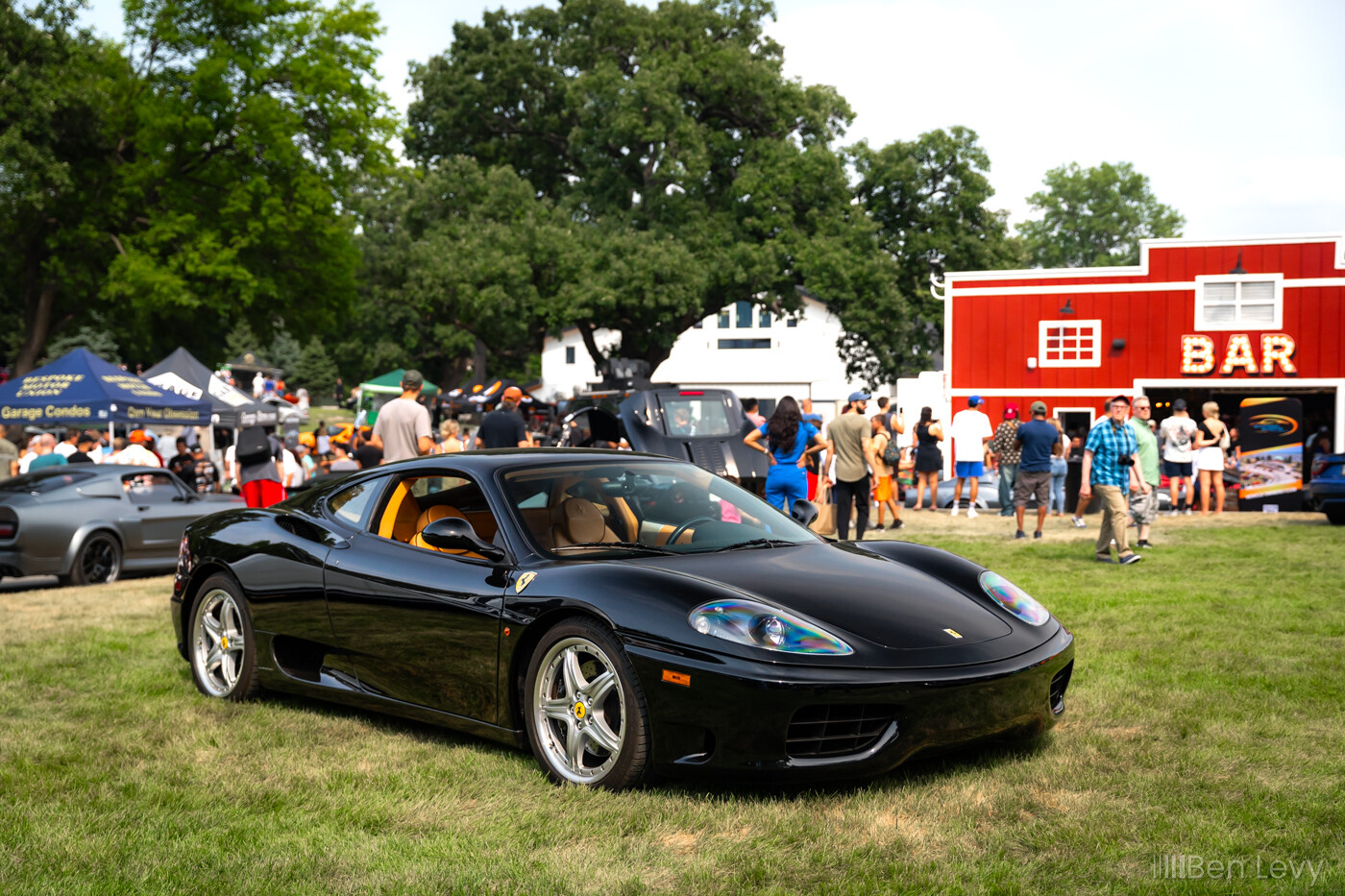 Black Ferrari 360 Modena on the Grass at Sonny Acres Farm