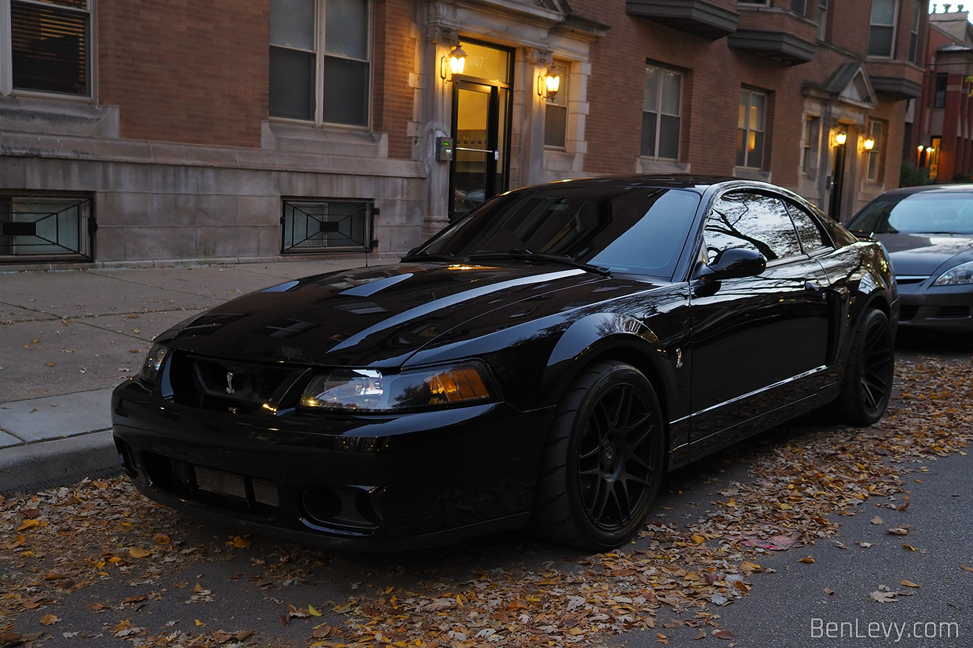 Black Ford Mustang Cobra Terminator