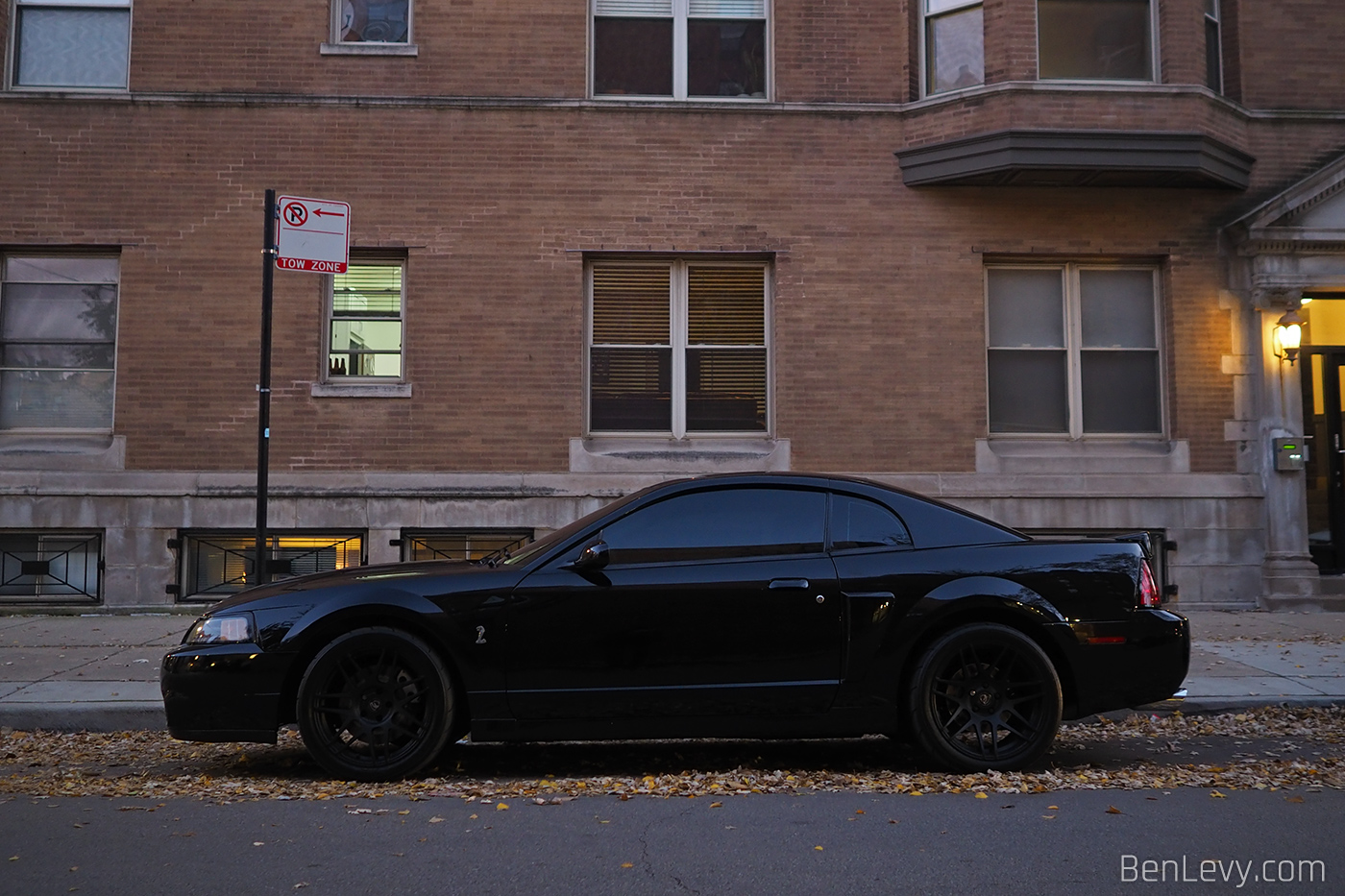 Black Mustang Cobra on Forgestar F14 wheels