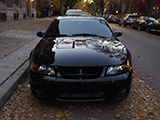 Black Ford Mustang Cobra Terminator
