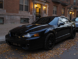 Black Ford Mustang Cobra Terminator