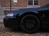 Black Forgestar F14 wheel on Ford Mustang Cobra