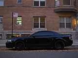 Black Mustang Cobra on Forgestar F14 wheels