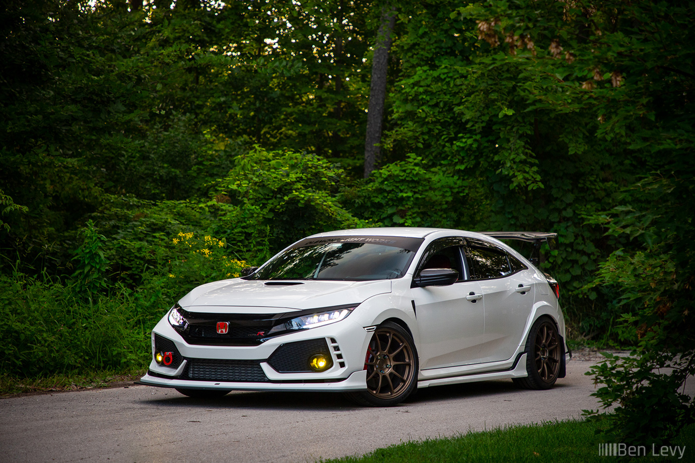 White Honda Civic Type-R in the Trees