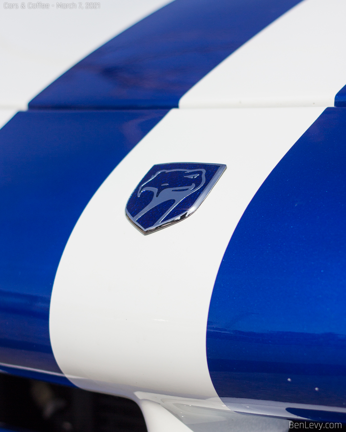 Blue Dodge Viper logo