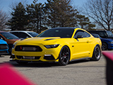 Monster S550 Mustang at Cars & Coffee in Schaumburg
