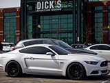 White S550 Mustang GT
