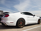 White Ford Mustang GT