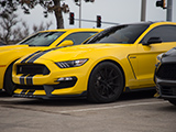 Front Quarter of a Triple Yellow Shelby Mustang GT350