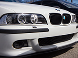 Detail of Kidney Grilles on E39 BMW M5