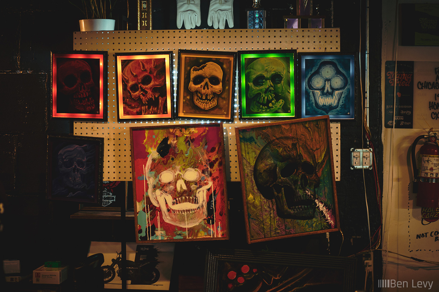 Skull Paintings