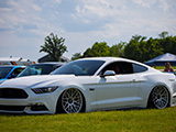 White Ford Mustang GT