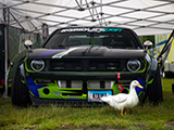 A duck in front of the Boss S14