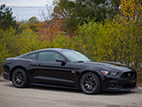 Black S550 Ford Mustang