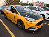 Arman's Wild Focus ST