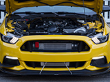 S550 Mustang with Procharger Supercharger