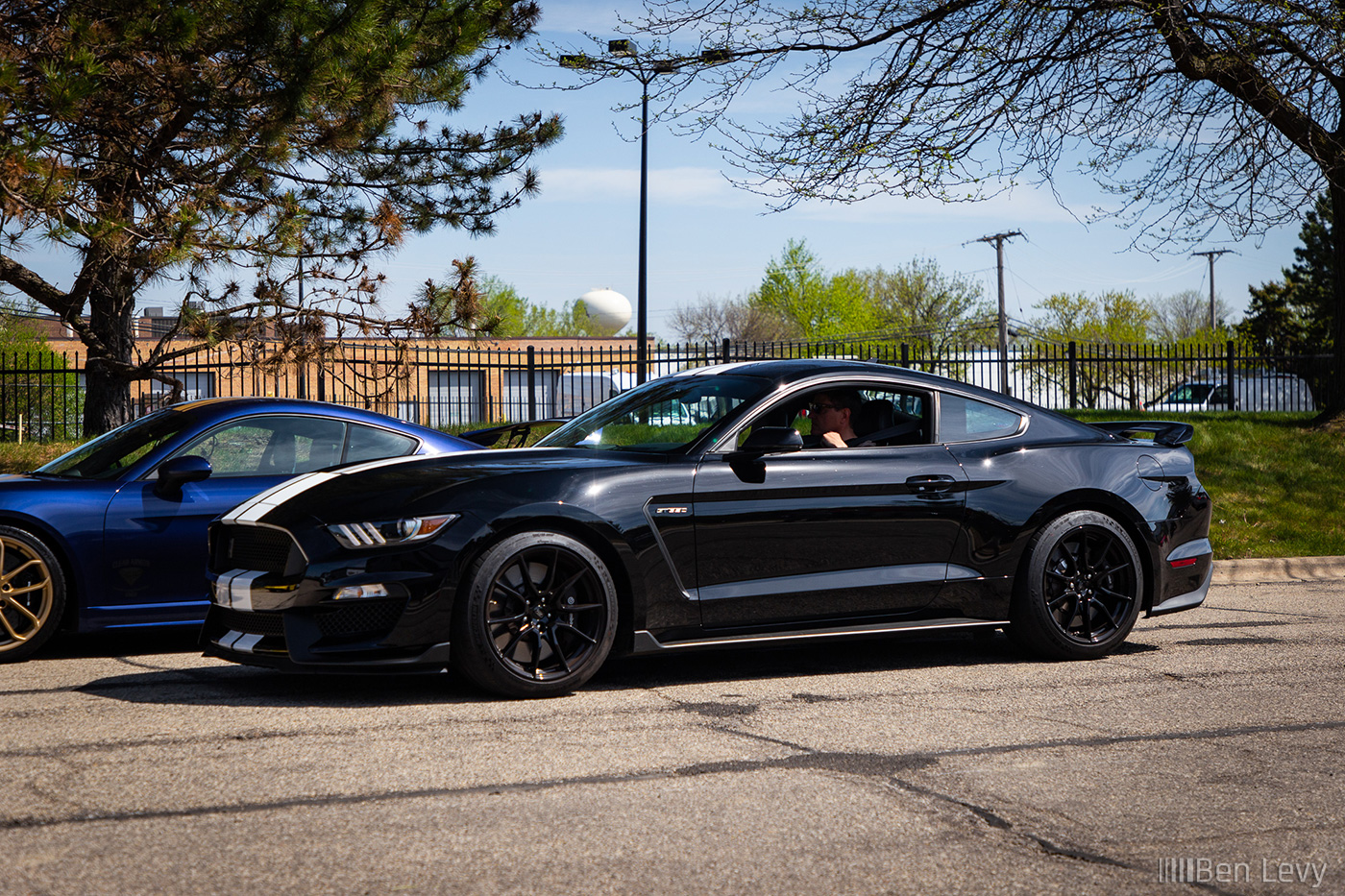 Black Ford Mustnag Shelby GT350