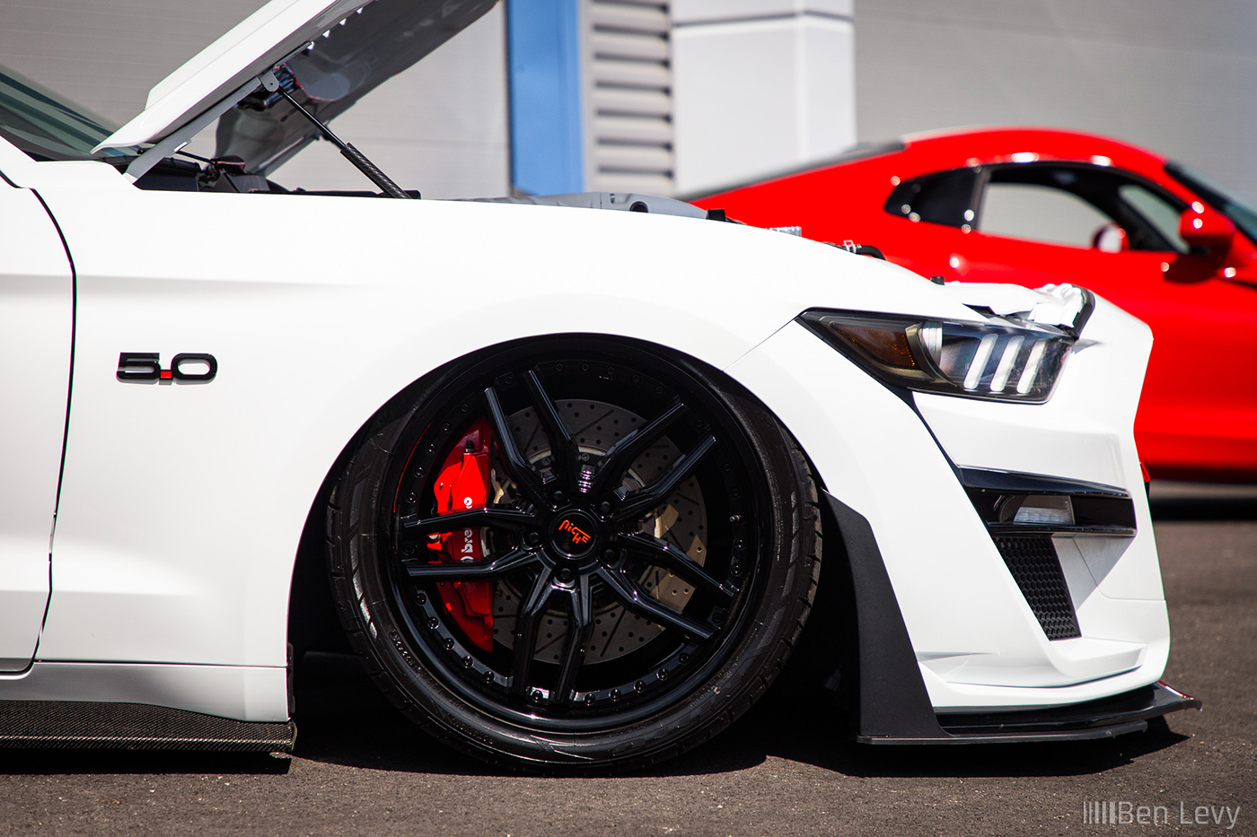 Black Niche Wheel on Bagged Mustang