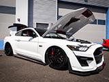 Bagged S550 Mustang in White