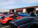 Cars & BBQ at Nuccio Auto Group