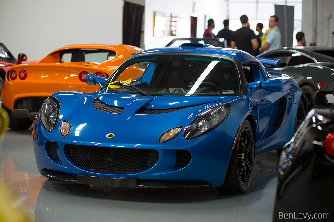 Blue Lotus Exige at Nuccio Auto Group
