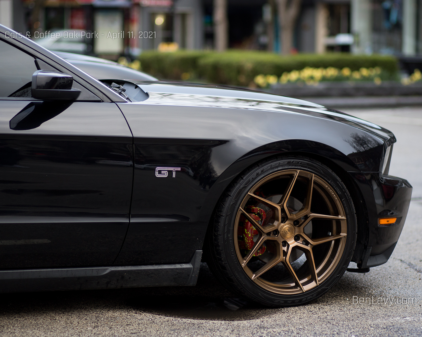 Ford Mustang Gt With Rohana Rfx11 In Brushed Bronz