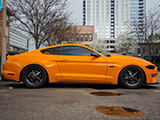 Side of Orange Fury Mustang 5.0